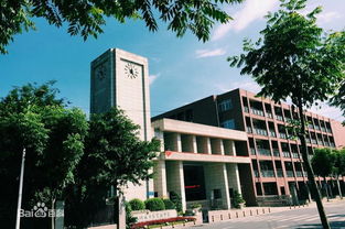成都电子科技大学实验中学剧院扩声系统解决方案