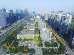成都最强科技大脑地图