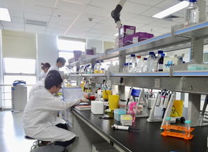 成都高新区力促生物科技创新实现 并跑 和 领跑