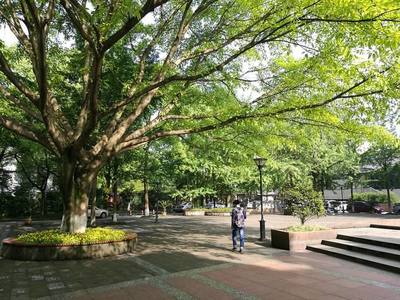 2019年成都农业科技职业学院校园地址位于哪里呢,有几个校区?