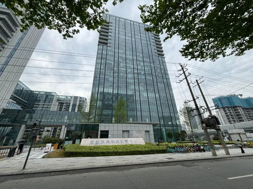 城市焕新加速,蓉北商圈再供1宗纯宅地