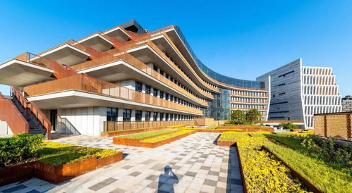 成都市最美科技工作者,天府新区是他们