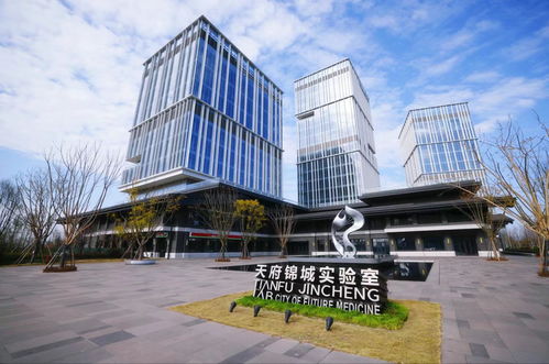 四川出台意见支持成都加快高质量发展