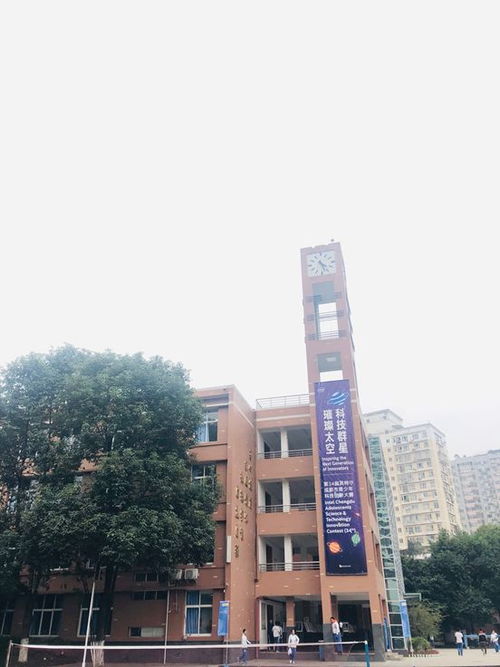 科技群星，璀璨太空——第34届成都市青少年科技创新大赛盛况纪实